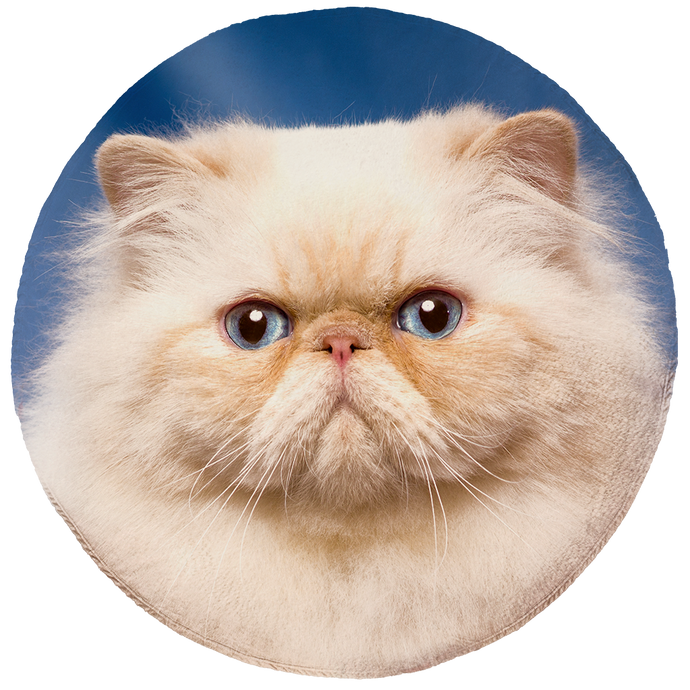 Persian Cat Round Blanket