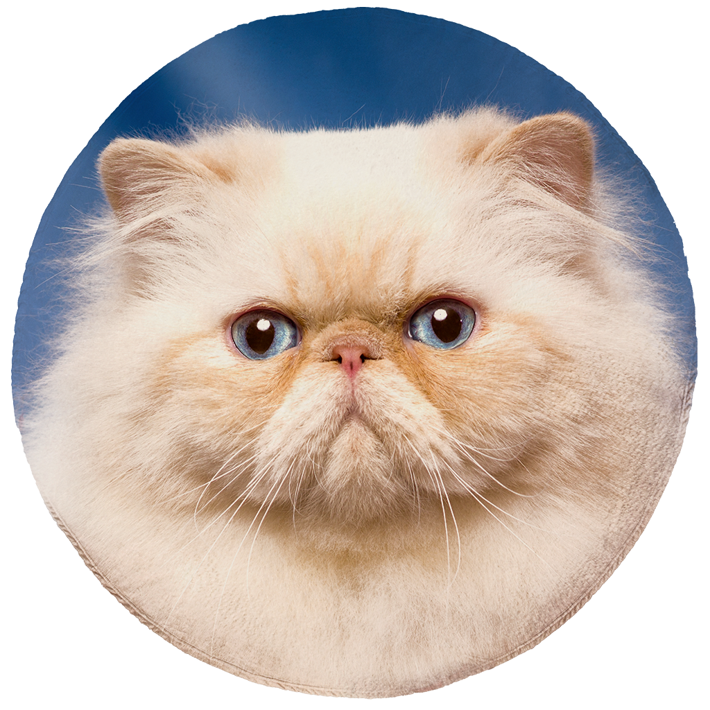 Persian Cat Round Blanket