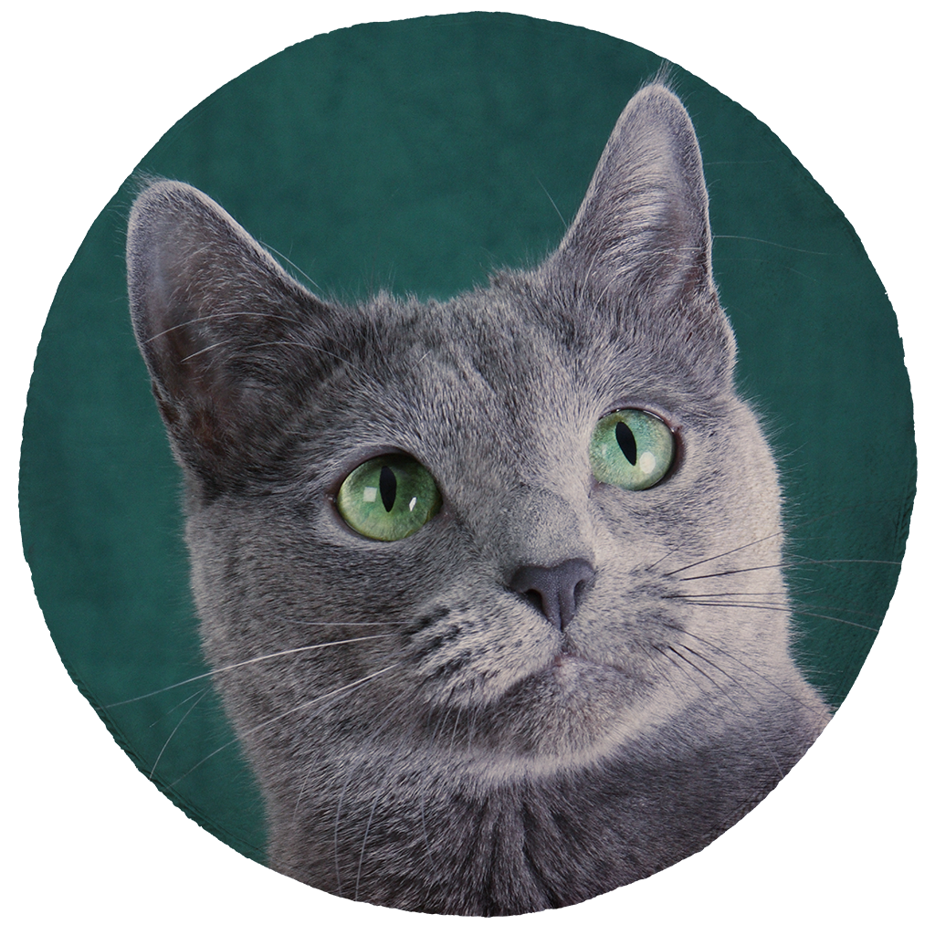 Russian Blue Cat Round Blanket