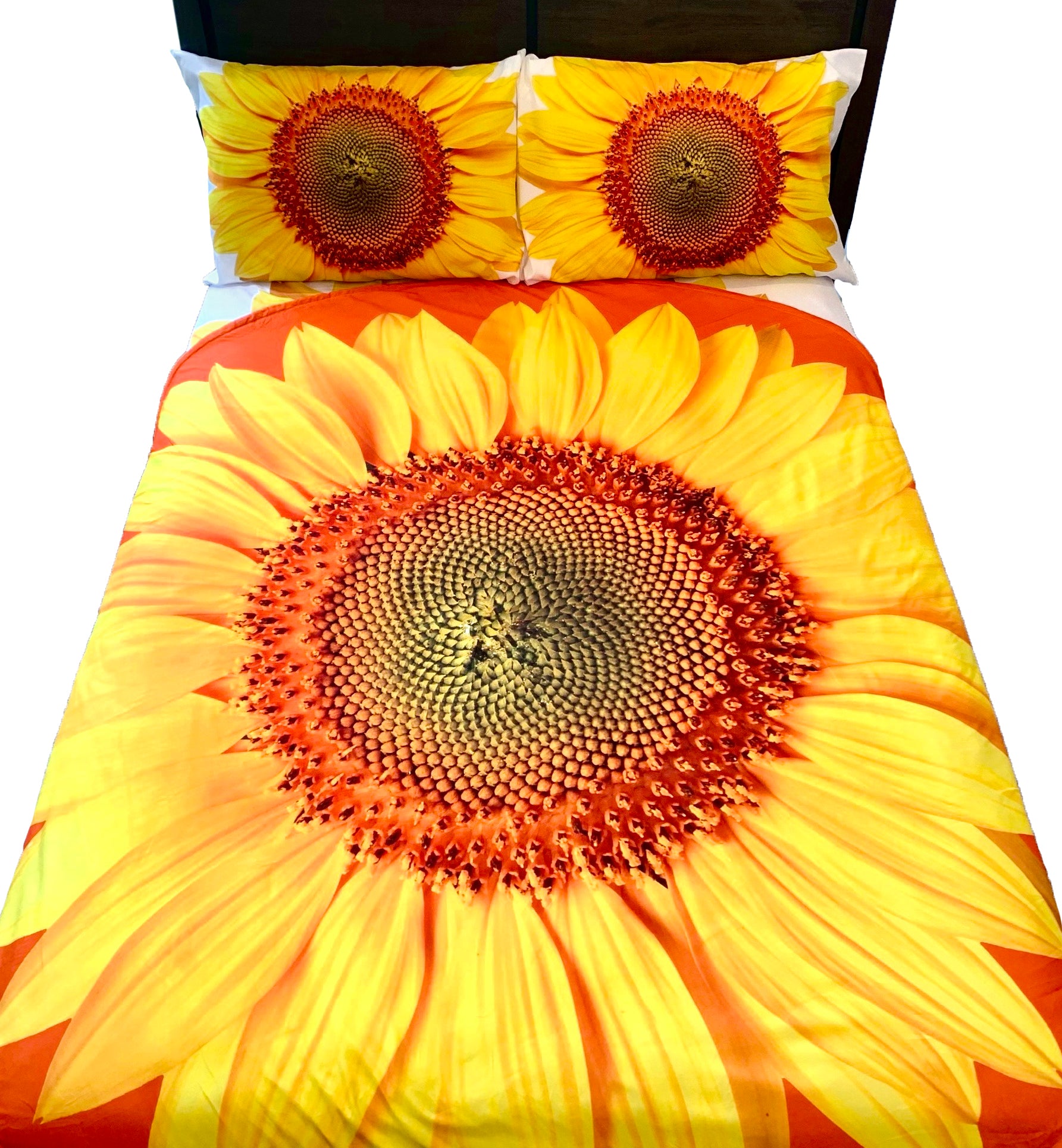 Rae Dunn Queen Sunflower blanket & set of 3 sunfkower store pillows